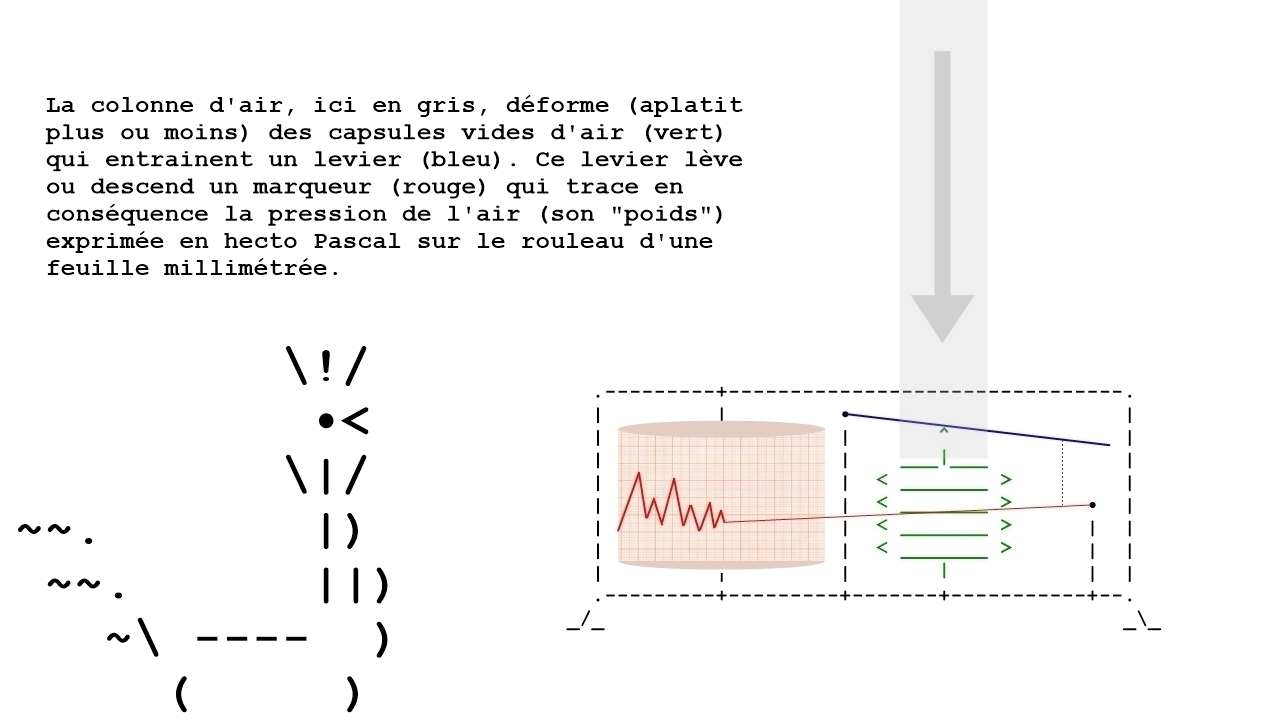 Les Poules du Clavier